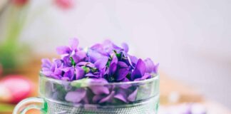 5 Herbal Recipes for Your Spring Brunch Menu