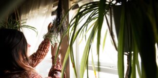 9 Ways to Celebrate Herb Day