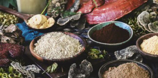 Mushroom Powder and Mushroom Extract Powder: What’s the Difference?