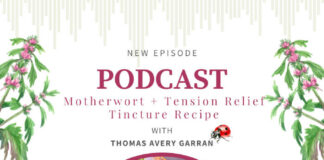 Motherwort with Thomas Avery Garran