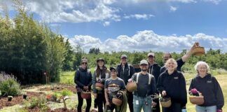 Demonstrating Our Vision: The Mountain Rose Volunteer Program