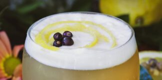 Non-Alcoholic Herbal Gin Fizz Recipe