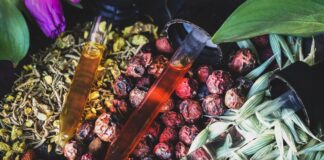 Glycerites: How to Use Vegetable Glycerine to Extract Herbal Constituents