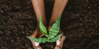 Uplifting Voices for Social Justice & Sustainability