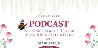 At-Risk Plants with Susan Leopold