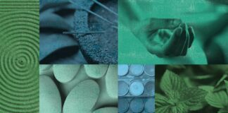 Guide to Natural Holistic Medicine