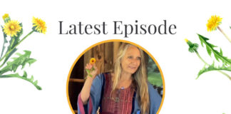 Dandelion with Brigitte Mars