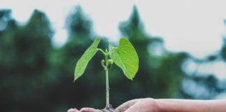 Partnering to Preserve our Wild Lands