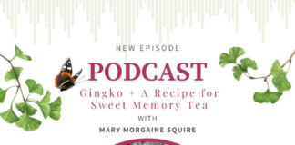 Gingko biloba Benefits with Mary Morgaine Squire