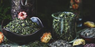 Guide to Seaweed: How to Choose Which Seaweed is Best