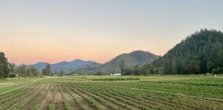 Cultivating Consciousness with Oshala Farm