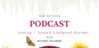 Arnica with Michael Pilarski