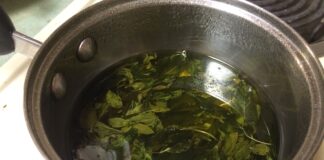 Marvelous Mint – The Herb Society of America Blog