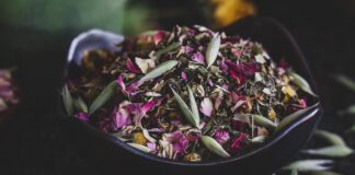 Herbs for Fire Season Support