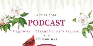 Magnolia with Leslie Williams