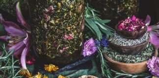 Queen of Hungary Mist: A Natural Skin Toner