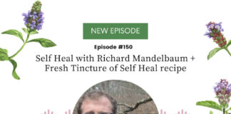 Self Heal with Richard Mandelbaum