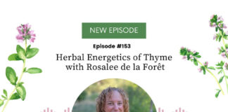 Herbal Energetics of Thyme