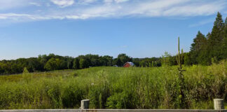 Midwest Farm Visit: How Farm Trips Support the Whole Supply Chain