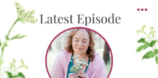 Benefits of Meadowsweet Herb