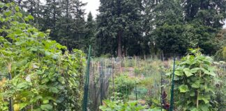 Expanding Community Connections with the Tilth Alliance