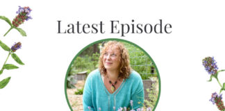 5 Herbs for the Cold and Flu Season