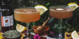 Bee’s Knees Mocktail with Lemon Balm