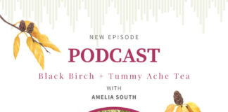 Black Birch with Amelia South