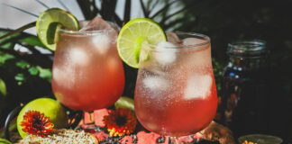 Elderberry Ginger Simple Syrup and Mocktail Recipe