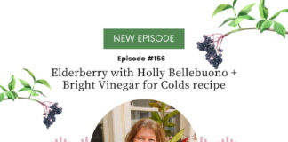Elderberry with Holly Bellebuono