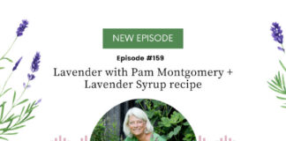 Lavender with Pam Montgomery and Lavender Syrup Recipe