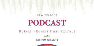 Reishi with Yarrow Willard