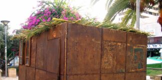 Etrog – The Herb Society of America Blog