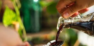 Back to Basics: Easy Elderberry Syrup Recipe for Cold & Flu Season