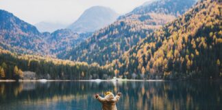 Buy Nothing Day: A Stand Against Throw-Away Culture