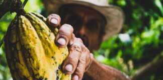 Fair Trade Premiums: What They Are & Why They Matter?