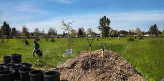 Mountain Rose Herbs Green Team: Keeping the Dream Alive