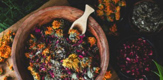 Herbal Facial Steam Blend