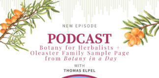 Botany for Herbalists with Thomas Elpel