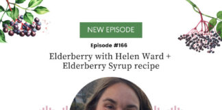 Elderberry with Helen Ward