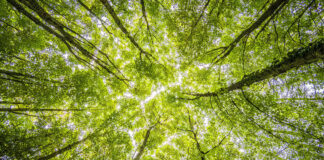 Achieving TRUE Zero Waste Certification: A Commitment to Sustainability at Mountain Rose Herbs