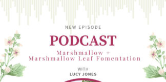 Marshmallow with Lucy Jones