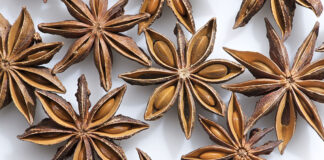 Star Anise – A Star in Asian Cuisine – The Herb Society of America Blog