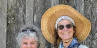 Cultivating Chamomile Experiences from Two Herbal Enthusiasts – The Herb Society of America Blog
