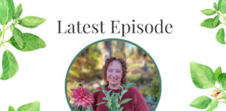 Ashwagandha for Sleep and Ashwagandha Side Effects