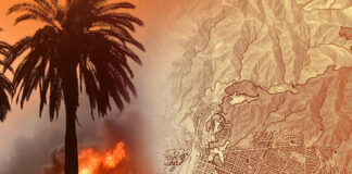 Protecting The Community To – HigherDOSE