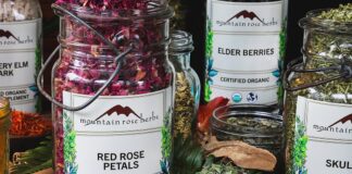 The Herb Shoppe Journey: Choosing to Start an Herbal Business