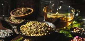 Building Connection Through Herbalism + Herbal Ceremony Tea Recipe