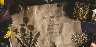 How to Write a Monograph & Build a Materia Medica