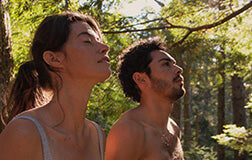 How to Lower Cortisol – HigherDOSE